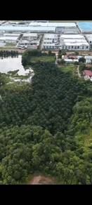 Agricultural Land in Kulim, KDH