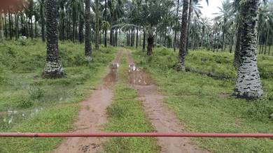 Agricultural Land in Dengkil, SGR