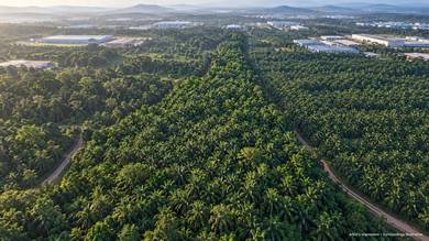 Industrial Land in Sungai Petani, KDH