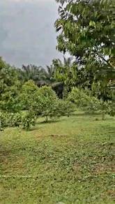 Agricultural Land in Kota Tinggi, JHR