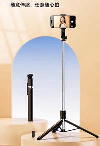 R17D Selfie Stick with Ring Light and Tripod
