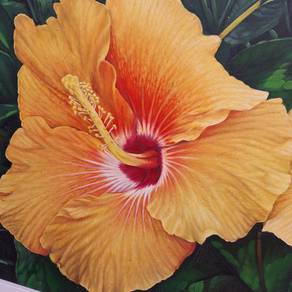 Oil Painting - Yellow Hibiscus Flower
