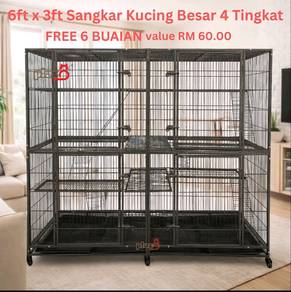 Banglo kucing