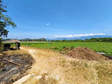 Agricultural Land in Ulu Yam, SGR