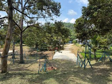 Agricultural Land in Raub, PHG