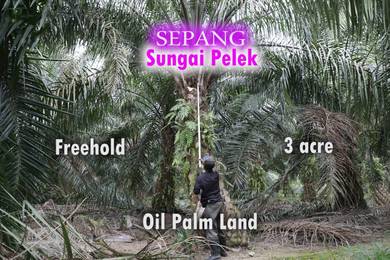 Agricultural Land in Sepang, SGR