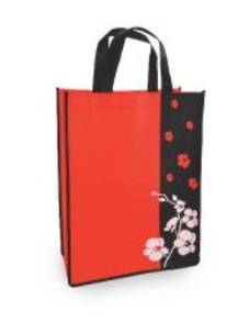 Bag NWB424 Non Woven