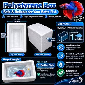 NEW Polystyrene Box/ 保丽龙盒