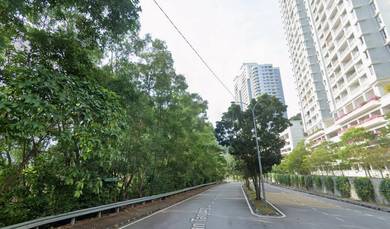 Residential Land in Tanjung Bungah, PNG