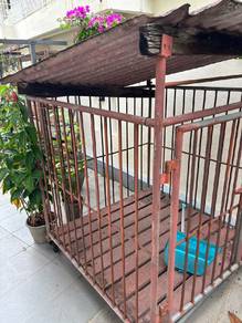 Dog Sangkar 