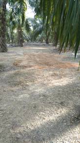 Agricultural Land in Guar Chempedak, KDH