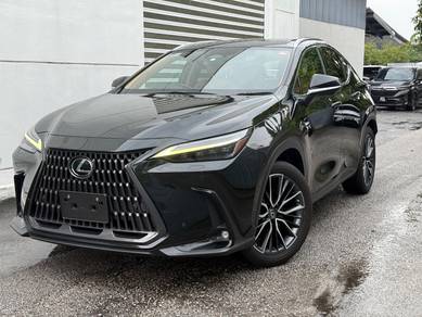 Lexus NX 250 LUXURY in Petaling Jaya, SGR