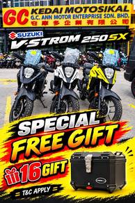 Suzuki V-Strom SX 250