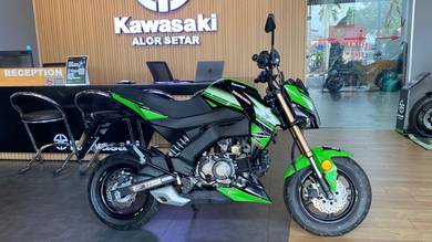 Kawasaki Z125 Pro