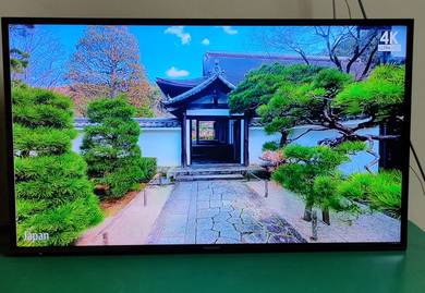 Panasonic 43" FHD 