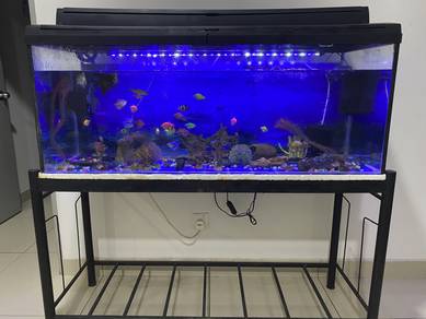 Aquarium 4ft Complete Set