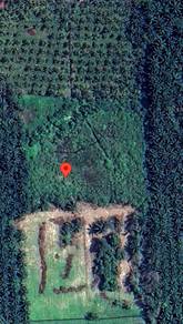 Agricultural Land in Seri Manjong, PRK