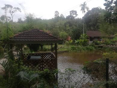 Agricultural Land in Hulu Langat, SGR