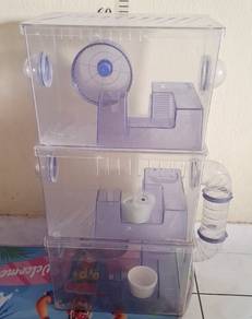 Cage hamster