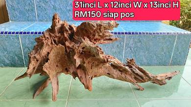 aquarium driftwood  tunggul hiasan aquarium