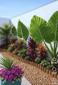 exotic tropical garden for cocoon your home 