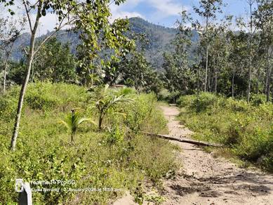 Agricultural Land in Kuala Nerang, KDH