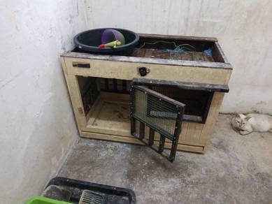 rumah kucing