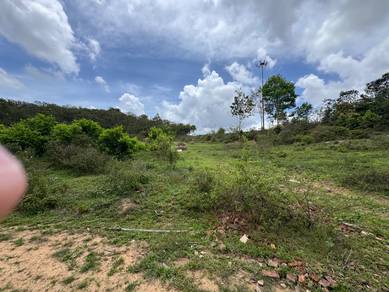 Agricultural Land in Permas Jaya, JHR
