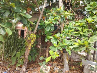 Commercial Land in Jerantut, PHG