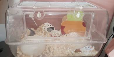 Cage with Hamster 