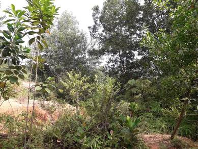 Commercial Land in Hulu Langat, SGR