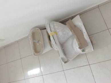 toilet bowl