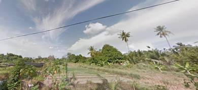 Agricultural Land in Tasek Gelugor, PNG
