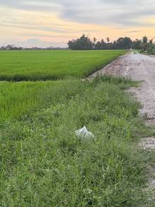 Agricultural Land in Sekinchan, SGR