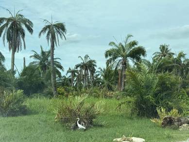 Industrial Land in Valdor, PNG
