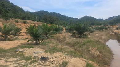 Agricultural Land in Tampin, NSN