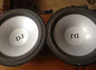 10 inch 2 DJ woofer with double hole box