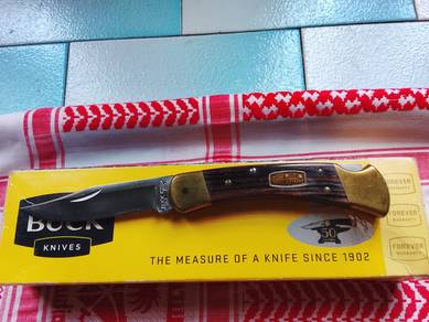 Buck 110 Hunting  Folder Knife