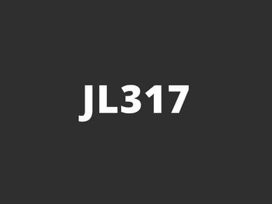 JL317