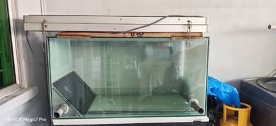 aquarium custom