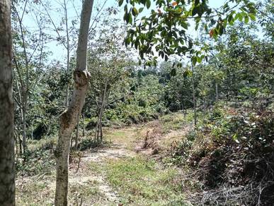 Agricultural Land in Lendu, MLK