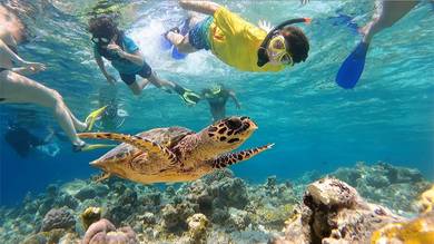 5D4N Romantic Maldives Honeymoon Tour Package