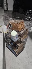 sangkar burung sekali nestbox
