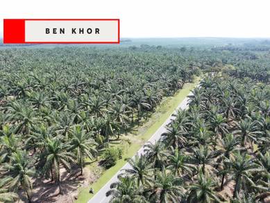 Agricultural Land in Selama, PRK