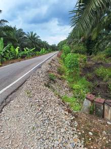 Agricultural Land in Pontian, JHR