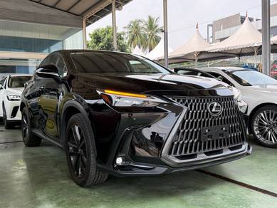 Lexus NX 250 LUXURY in Bandar Kinrara, SGR