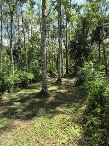 Agricultural Land in Lenggong, PRK