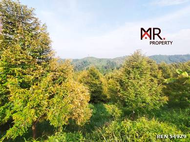 Agricultural Land in Bandar Baharu, KDH