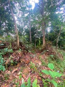 Agricultural Land in Kuala Lipis, PHG