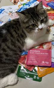 Emergency Adoption